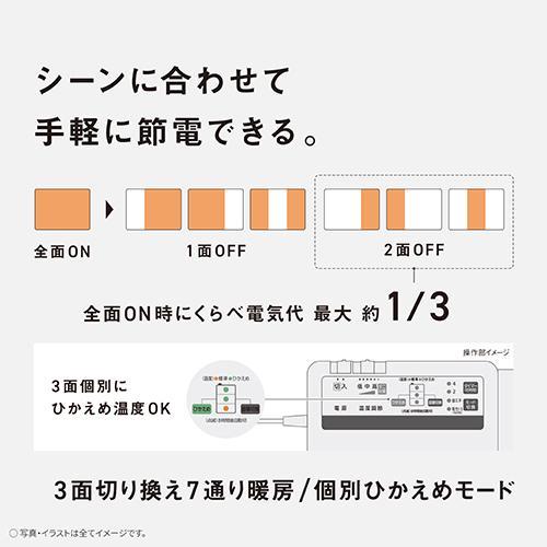 パナソニック(Panasonic) DC-2HAC3-C グレージュ 電気カーペット セットタイプ プレミアムHAシリーズ 2畳 カバー部183cm×183cm/ヒーター部176cm×176cm_2