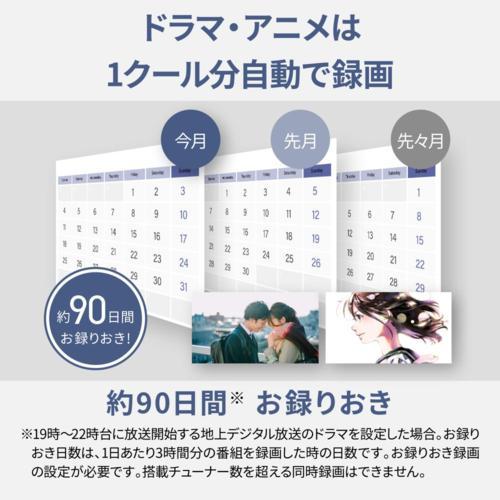 パナソニック(Panasonic) UN-ST20A-H ネットワークレコーダー miyotto