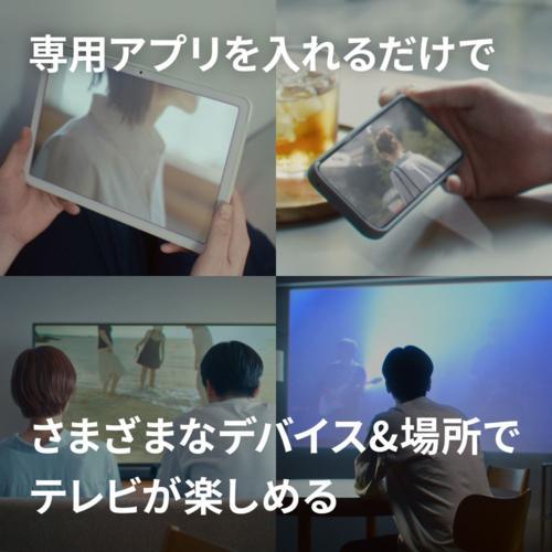 パナソニック(Panasonic) UN-ST20A-H ネットワークレコーダー miyotto