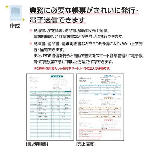 弥生 弥生販売 26 プロフェッショナル 2ユーザー 通常版 HWAV0001_2