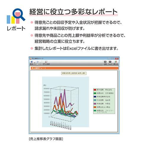 弥生 弥生販売 26 プロフェッショナル 2ユーザー 通常版 HWAV0001_4