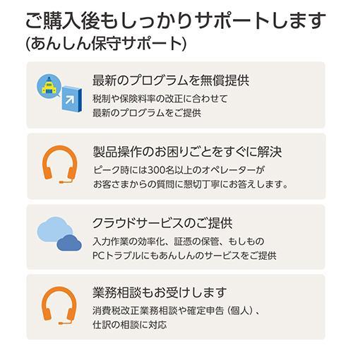 弥生 弥生販売 26 プロフェッショナル 2ユーザー 通常版 HWAV0001_7