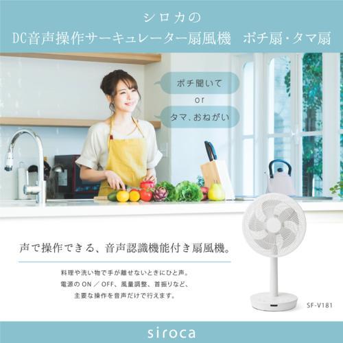 長期5年保証付】シロカ(siroca) SF-V181-K ブラック 30cmDC音声操作