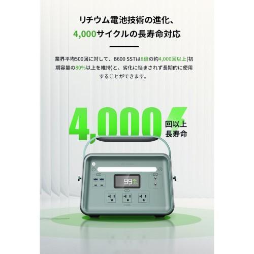 ヨシノパワージャパン(YOSHINO POWER JAPAN) YOSHINO B600 SST 固体