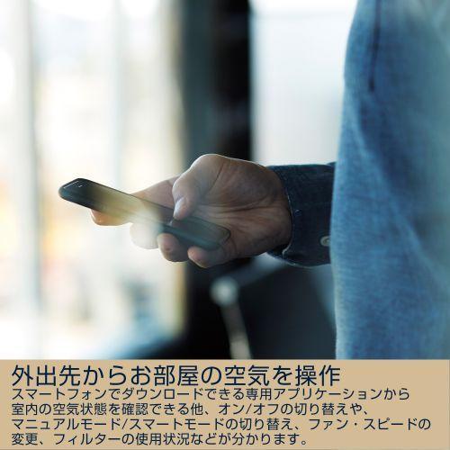 エレクトロラックス エレクトロラックス(ELECTROLUX) EP71-56WBA エレクトロラックス エレクトロラックス(ELECTROLUX) EP71-56WBA