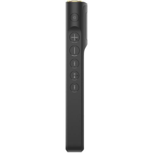長期保証付】ソニー(SONY) NW-WM1AM2 ウォークマンWM1シリーズ 128GB