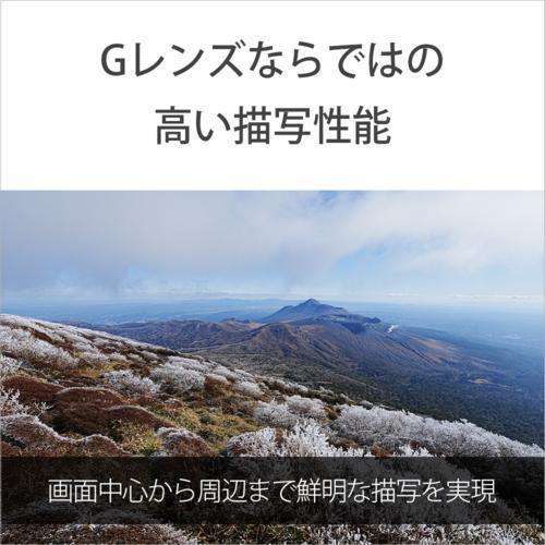 【長期保証付】ソニー(SONY) FE 16-25mm F2.8 G SEL1625G Eマウント用 フルサイズ 広角ズームレンズ