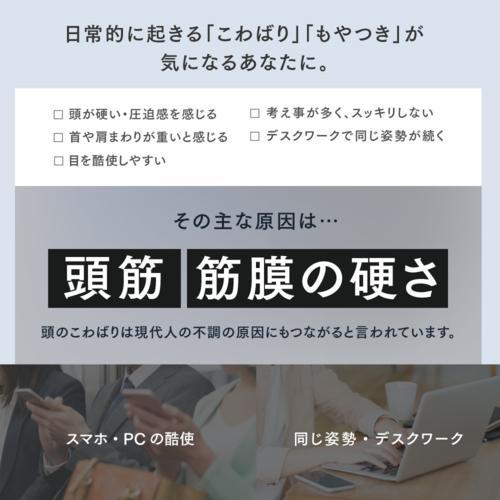【長期保証付】マイトレックス(MYTREX) MYTREX VIDO マイトレックス ビドー 横振動モーションブラシ ヘッドスパ MTVD22-B ブラック ヘッドマッサージャーの画像
