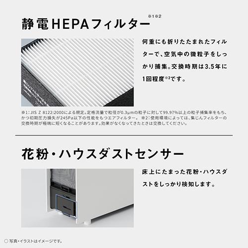長期保証付】パナソニック(Panasonic) F-PX70C-H ダークグレー 空気