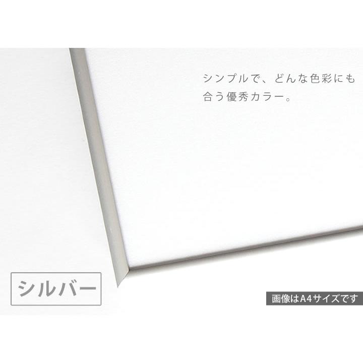 B1サイズ 728×1030mm 額縁 ポスターフレーム パネル 厚みのある