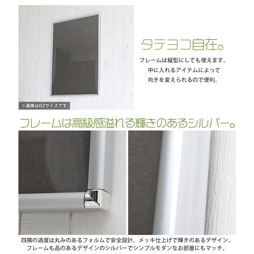 k.jミドルサイズ用フレーム２枚組 Amazon.co.jp: ナカバヤシ ツートン フォトフレーム 2L・KG