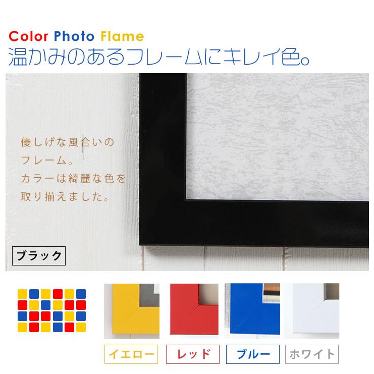 b2サイズ　額縁5個セット B2サイズ 515×728mm 額縁 ポスターフレーム パネル カラフル