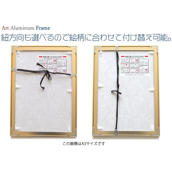 A1サイズ 594 841mm 額縁 ポスターフレーム パネル アルミの強さとシャープさを額本来の装飾性にマッチさせた高級タイプ ポスター入れ ポスター入れ 501 Rs A1 とことこマーチ 通販 Yahoo ショッピング