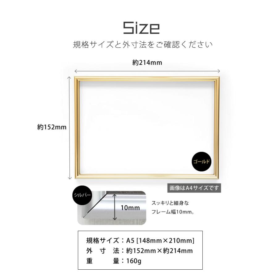 ゴールドリブ加工ポスターフレーム A5サイズ-148×210mm 額縁 ポスターフレーム パネル