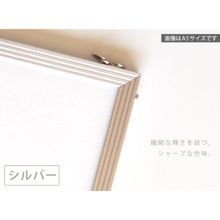 B4サイズ 257×364mm 額縁 ポスターフレーム パネル スタンダードな