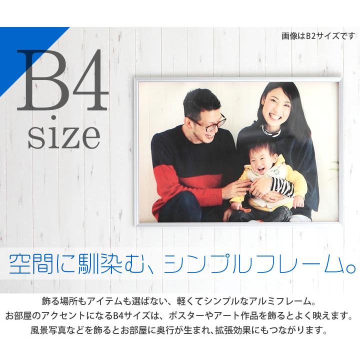 B4サイズ 257×364mm 額縁 ポスターフレーム パネル 高級かつ重厚感の