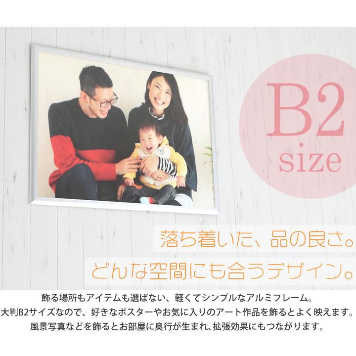 B2サイズ 515×728mm 額縁 ポスターフレーム パネル 曲面がきれいな