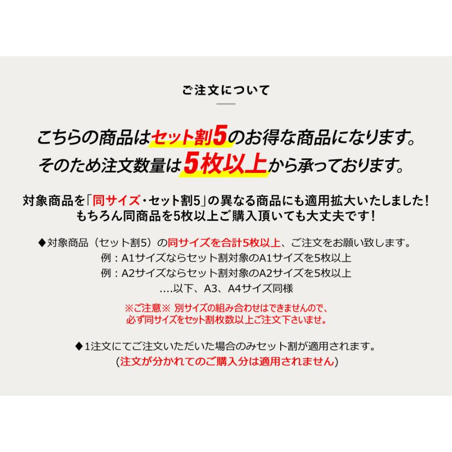 訳あり アソート5枚入り アウトレット 折れシワあり A4サイズ 約20cm