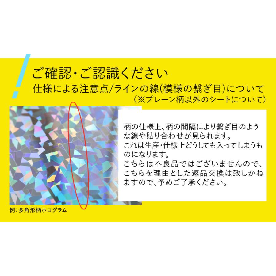 1枚からOK 変形A4サイズ 約20cm×約30cm ホログラムシート ホログラム