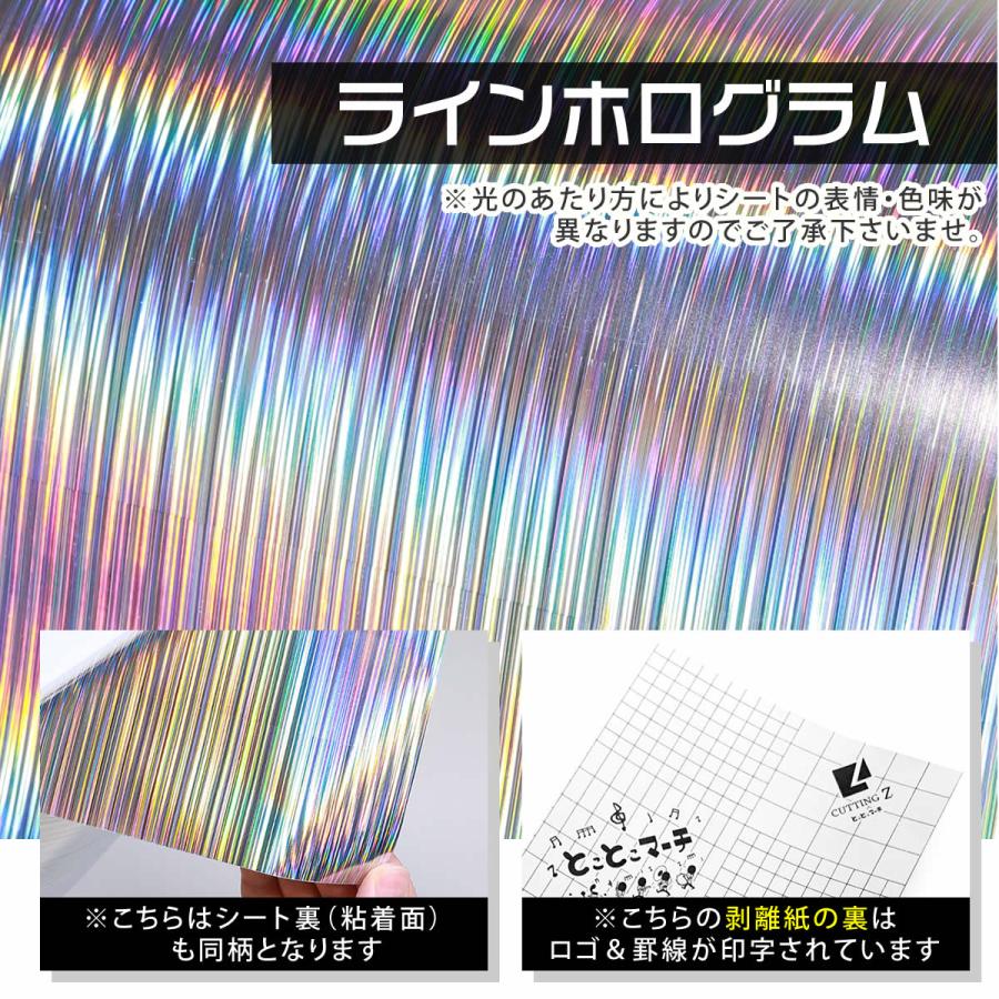 セット割5 A4サイズ 約20cm×約30cm ホログラムシート ホログラム
