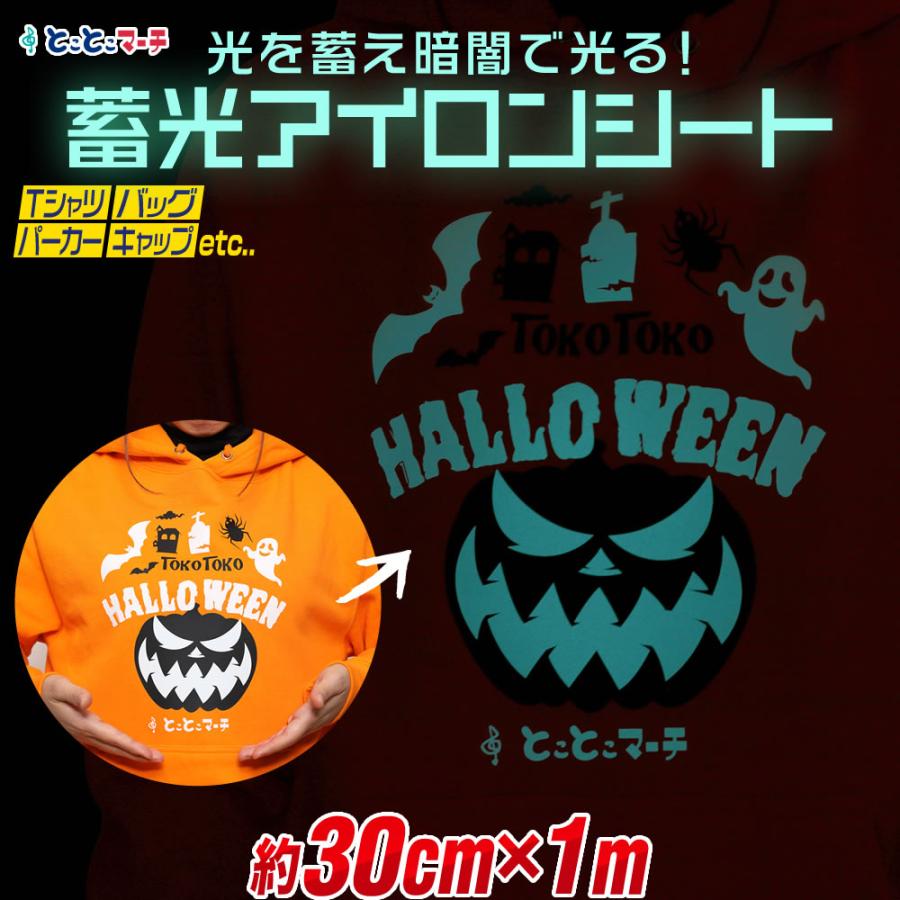 アイロンシート　熱転写シート　蓄光　グリッター　反射　カッティング 約30cm×約1m 蓄光アイロンシート 夜光 蓄光シート 熱転写ラバーシート