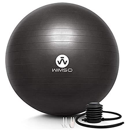 買取り実績 Wimso エクササイズボール 55cm ヨガ フィットネス バランス 極厚 ノンスリップ アンチバーストベアリング 20ポンド クイックポンプ付 限定販売店舗 Skinner Edu Pe
