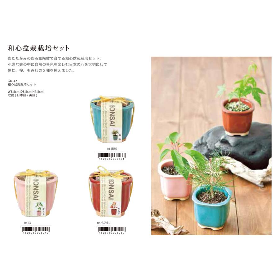 販売開始 和心盆彩セット 36個入 純正直販店 Pedo Pk