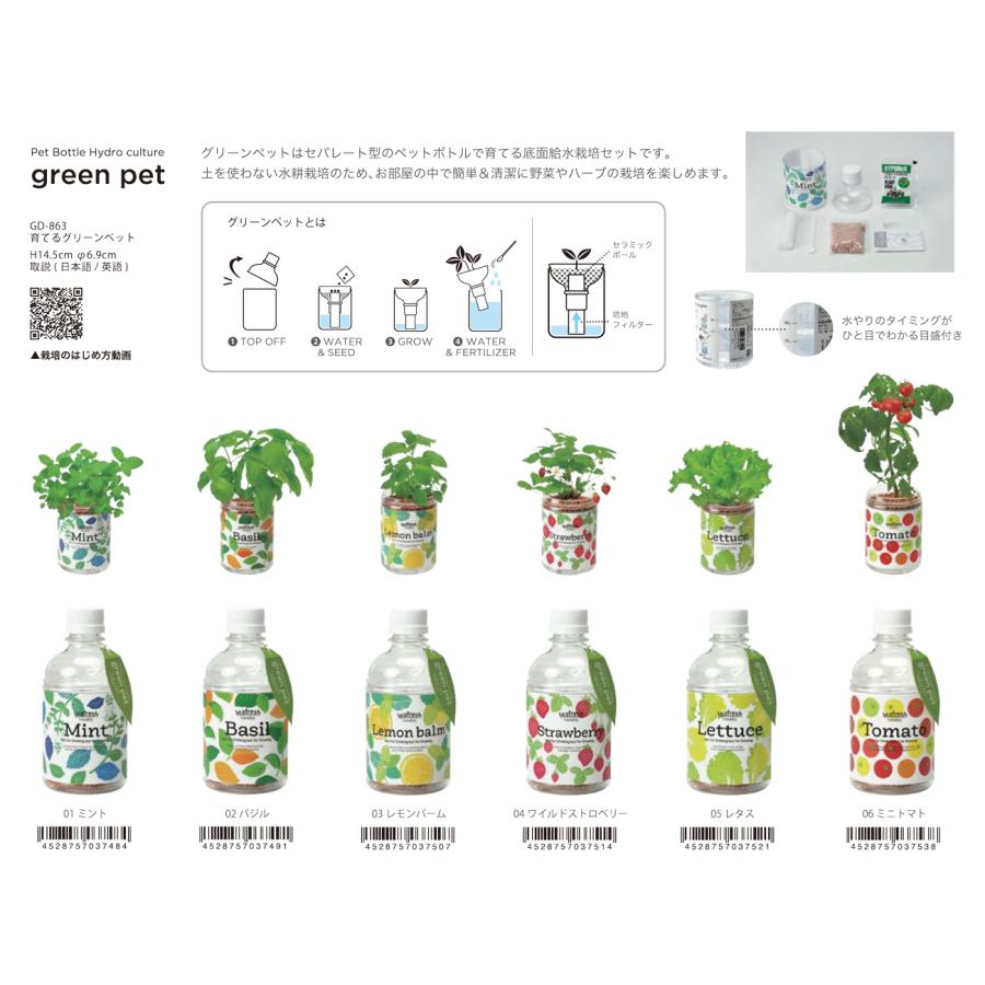 50 Off 栽培セット 育てるグリーンペット 42個入 超大特価 Nicmosul Org