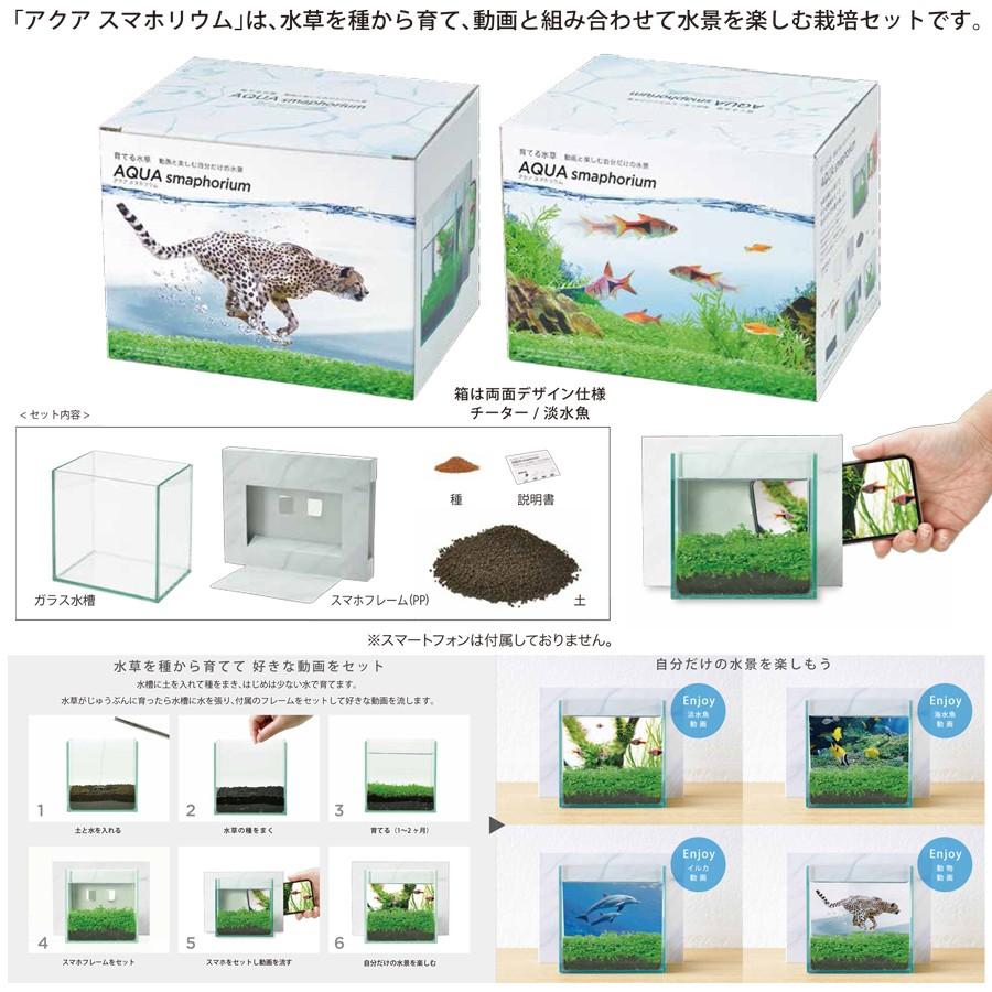 栽培セット 育てる水草 アクア スマホリウム 10個入 Antoniodomingo Es