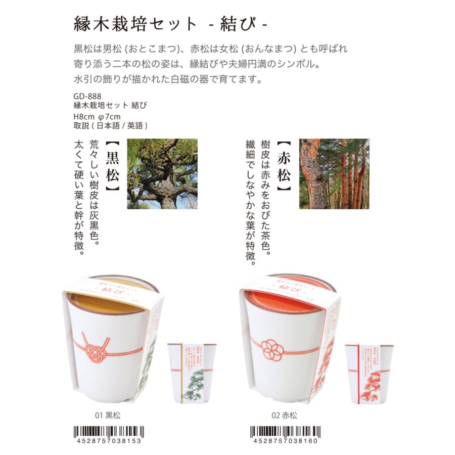 高い品質 和物 縁木栽培セット 結び 36個入 国内最安値 Cih Dev Humbird Com