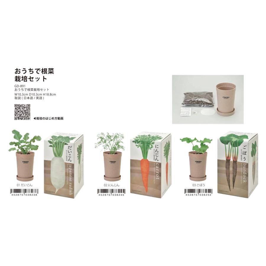 土がたっぷりとはいる深鉢なら お家で根菜も育てられます 根菜栽培 の楽しさは土の中で無事に育っている様子がみえないドキドキ感 自分で種から育てた野菜を引き抜いて Migd 101 おうちで根菜栽培セット 36個入 栽培キットおうちで根菜栽培セット 36個入