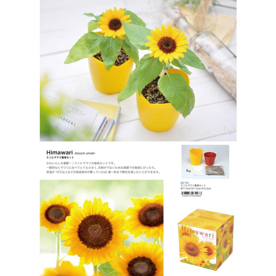 栽培セット ハートポットシリーズ 28個入 Migd 901 Tokotoko Wholesale Japan 通販 Yahoo ショッピング