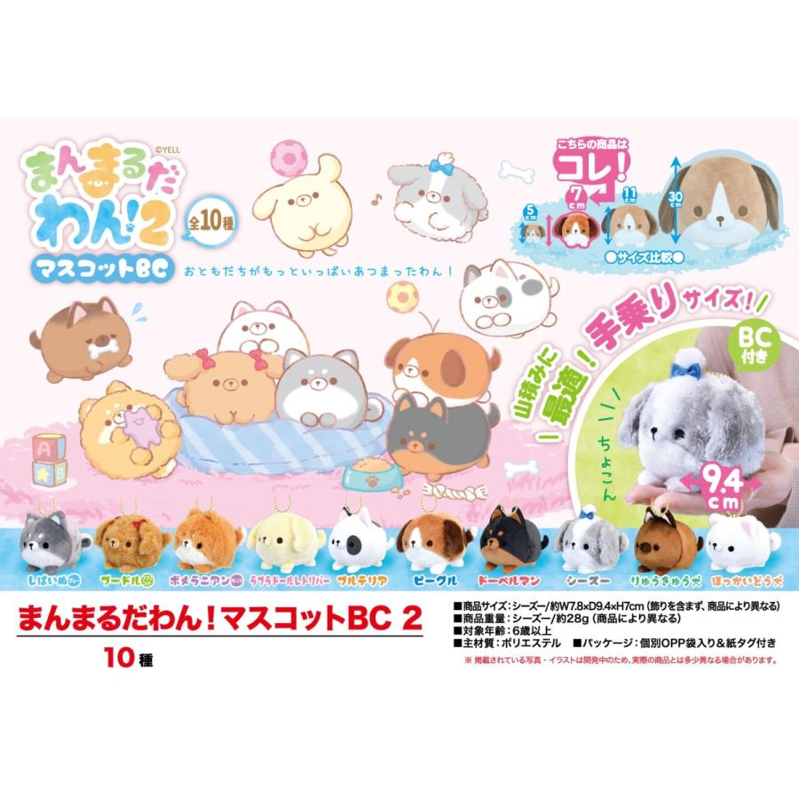 人気ブランドを ぬいぐるみ 動物グッズ まんまるだわん マスコットbc2 100個入 国内最安値 Www Technet 21 Org