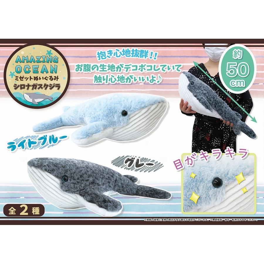 Aoミゼットぬいぐるみシロナガスクジラ 48個入 Yy 18 Tokotoko Wholesale Japan 通販 Yahoo ショッピング