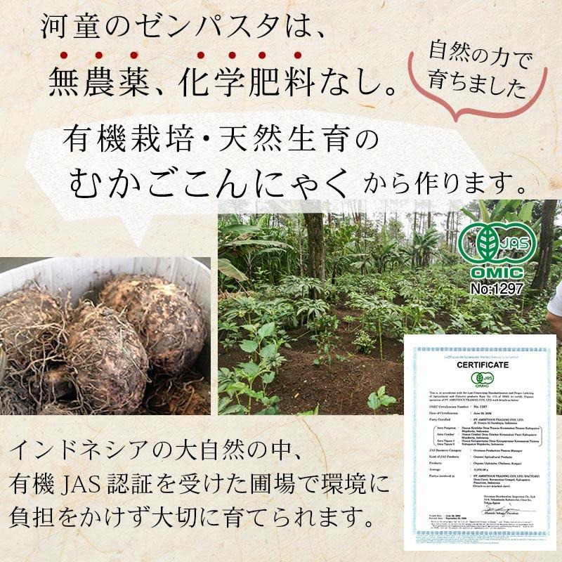 ゼンヌードル & パスタ スープ付 25g×36個 こんにゃく麺 ダイエット 乾燥 しらたき 無農薬 zenpasta 送料無料 ゼンパスタ 低糖質 低カロリー 糖質制限 :diet-kansoura-men18a:ところてんの伊豆河童 - 通販 - Yahoo!ショッピング ゼンヌードル & パスタ スープ付 25g×36個 こんにゃく麺 ダイエット 乾燥 しらたき 無農薬 zenpasta 送料無料 ゼンパスタ 低糖質 低カロリー 糖質制限 :diet-kansoura-men18a:ところてんの伊豆河童 - 通販 - Yahoo!ショッピング