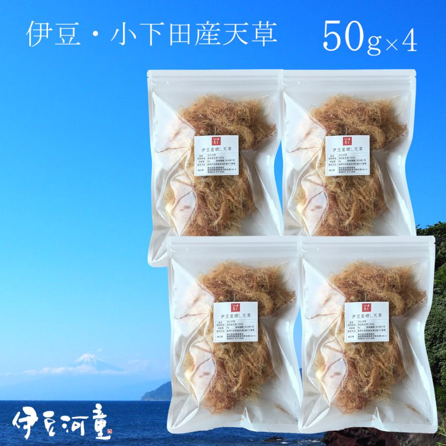 ★GW SALE★静岡県　西伊豆　戸田産　天草　てんぐさ　ところてん 天草 ところてん用天草50g×4 200g ところてんの元 : ところてんの伊豆