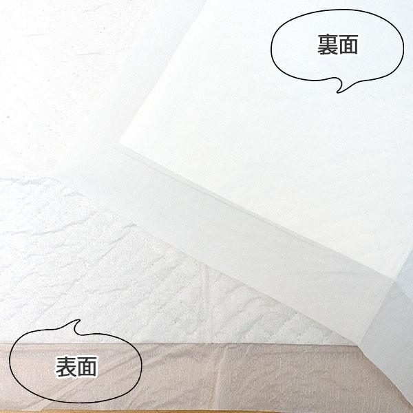 スタイルプラス お試し販売 / ねこシステムトイレ用シーツ 猫用 スタイルプラス お試し販売 / ねこシステムトイレ用シーツ 猫用