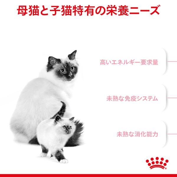 正規品　ロイヤルカナン　猫ドライ　マザー＆ベビーキャット　2kg　成長前期の子猫用(生後1〜4ヵ月)　母猫用(妊娠後期〜授乳期)　キャットフード　FHN｜tokoton-dogfood｜02