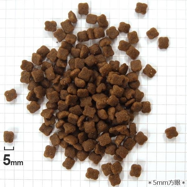 正規品　ロイヤルカナン　猫ドライ　マザー＆ベビーキャット　2kg　成長前期の子猫用(生後1〜4ヵ月)　母猫用(妊娠後期〜授乳期)　キャットフード　FHN｜tokoton-dogfood｜06