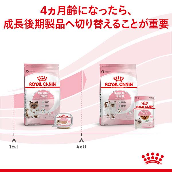 ロイヤルカナン 正規品 ロイヤルカナン 猫ドライ マザー&ベビー ロイヤルカナン 正規品 ロイヤルカナン 猫ドライ マザー&ベビー