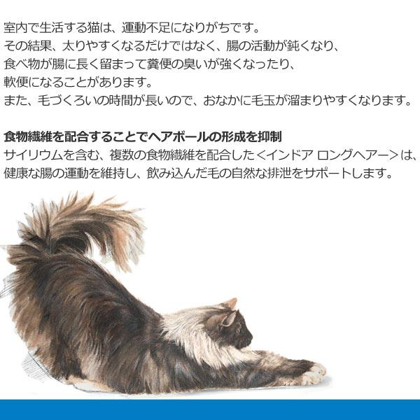 ロイヤルカナン 正規品 ロイヤルカナン 猫ドライ インドア ロイヤルカナン 正規品 ロイヤルカナン 猫ドライ インドア