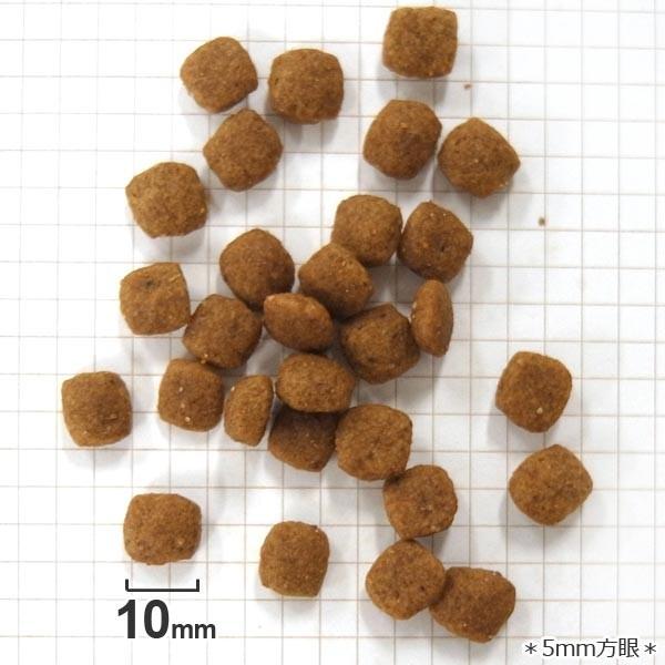 正規品 ロイヤルカナン 犬ドライ ミニチュアシュナウザー 子犬用(10か月まで) 1.5kg 犬種別 ドッグフード ドライ ロイカナ BHN