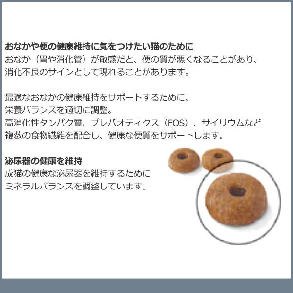 ロイヤルカナン 正規品 ロイヤルカナン 猫ドライ ロイヤルカナン 正規品 ロイヤルカナン 猫ドライ