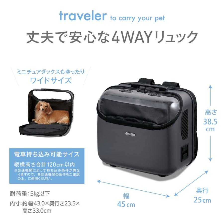 GEX GEX OSOTOキャリー トラベラー Wide グレー リュック式 GEX GEX OSOTOキャリー トラベラー Wide グレー リュック式