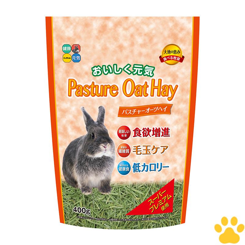 ハイペット パスチャー オーツヘイ 400g オーストラリア産 うさぎ