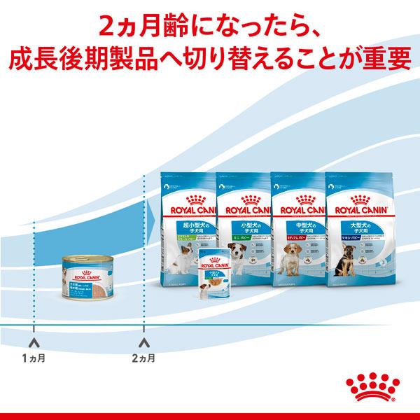 正規品　ロイヤルカナン　犬缶詰　スターター ムース　マザー＆ベビードッグ　195g　子犬用(生後2ヵ月以下)　母犬用(妊娠後期〜授乳期)　全犬種　M＆B　SHN｜tokoton-dogfood｜07