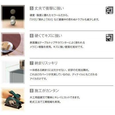 オープニング大放出セール Ftna557zd アイカ キッチンパネル セラール セルサス 木目 3 8サイズ 935 2455 3mm Rakuten Aonestationery Co Uk