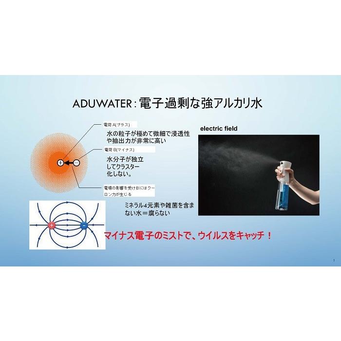 2本セット 消毒用 BMV Blocker 5L 【ウイルス対策】【亜塩素酸水】 