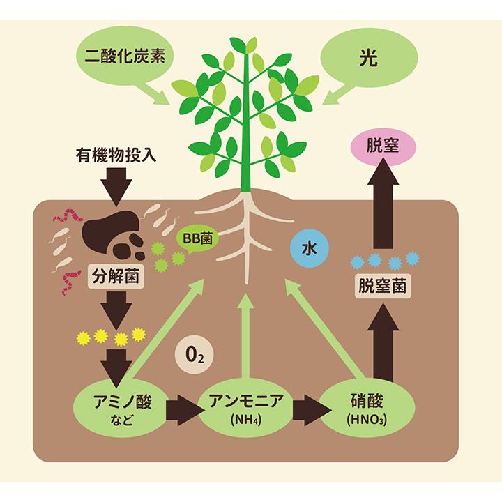 土壌改良剤 バイオの恵 ハイブリッドM 1L BB菌 活力増進 生育回復促進 ミネラル栄養素 有機物分解【☆60】/バイオの恵ハイブリッドM｜toku109shop｜03