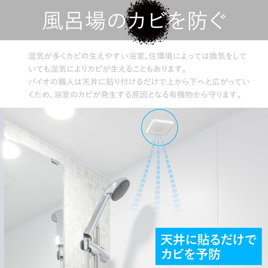 カビ予防 バイオの職人 浴室用 お風呂 大特価 貼るだけ簡単 バチルス菌 メール便 塩素系不使用 送料無料
